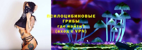 a pvp Аркадак