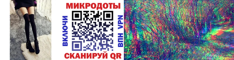 Псилоцибиновые грибы Psilocybe наркота Сысерть